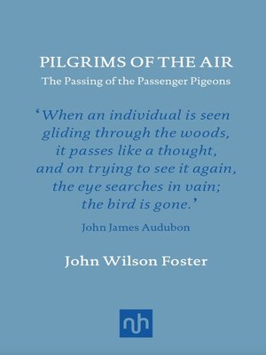 cover image of Pilgrims of the Air